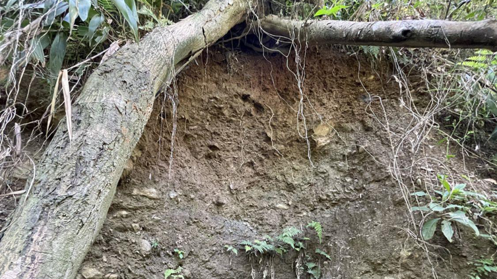 以邊坡崩塌處保護為主，不改變太多地形地貌，導入多孔隙生態植生槽作為護坡，減輕本工程對於棲地環境的衝擊。圖／高雄市政府提供